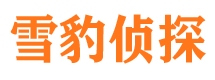 平舆寻人公司